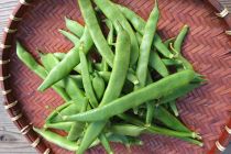 ぎおん豆 <br/> Gion Green Beans