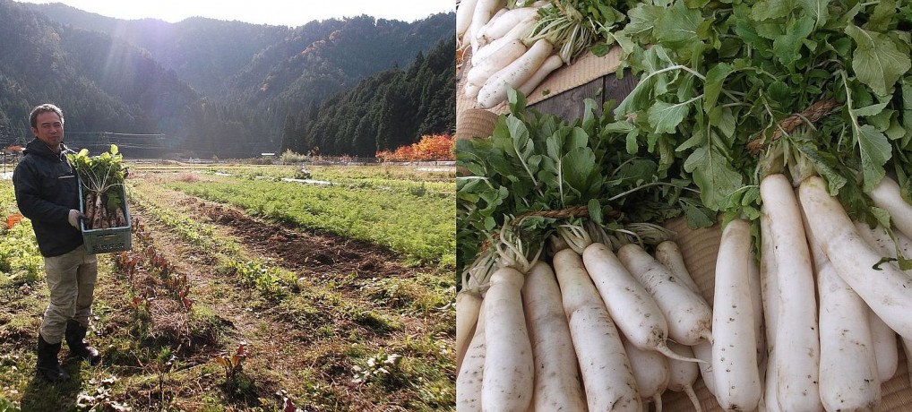 耕す、いただく、里山を守る 耕す、いただく、里山を守る