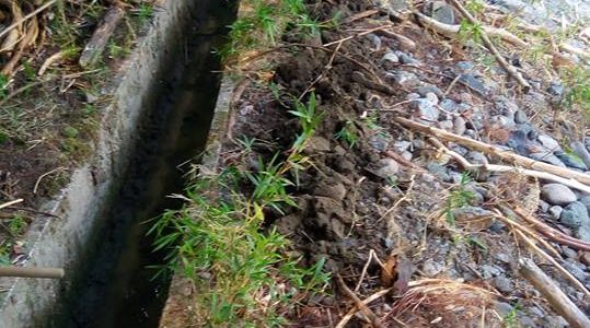 豪雨、土砂流入、水路掃除 豪雨、土砂流入、水路掃除