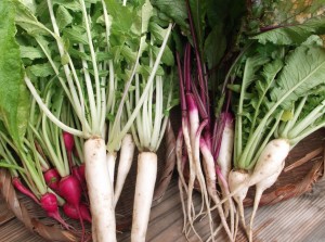 Early winter veggies